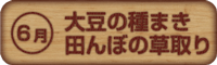 ５月３０日（土）～３１日（日）田の草取り