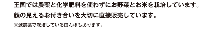 王国では農薬と化学肥料を使わずにお野菜とお米を栽培しています。 顔の見えるお付き合いを大切に直接販売しています。 ※減農薬で栽培している田んぼもあります。